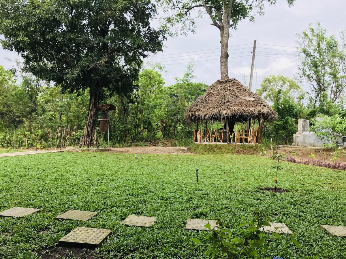 ホテル Sigiriya Rock Hide エクステリア 写真
