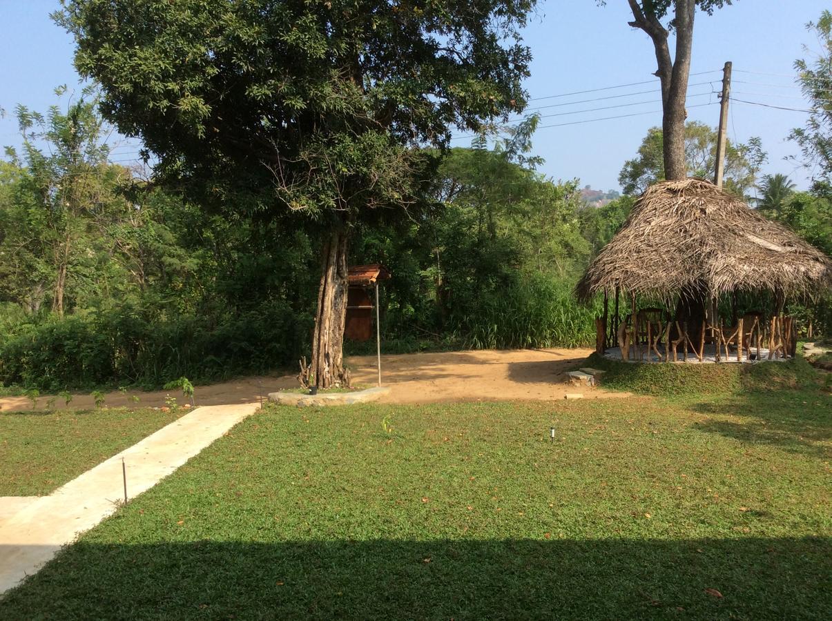 ホテル Sigiriya Rock Hide エクステリア 写真