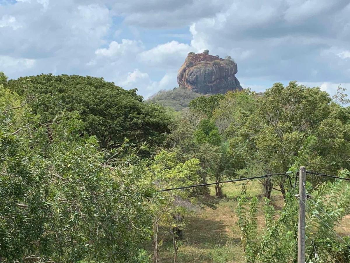 ホテル Sigiriya Rock Hide エクステリア 写真