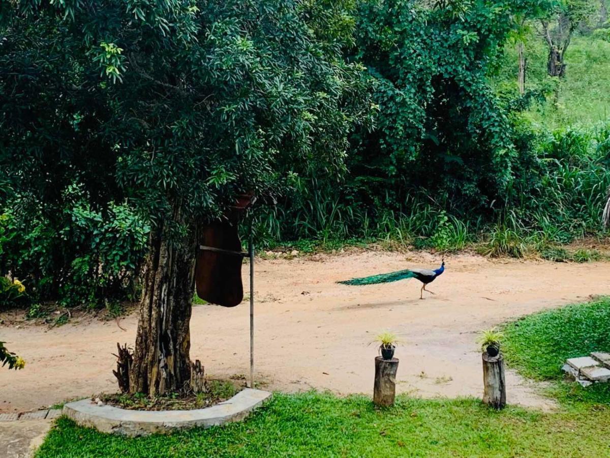 ホテル Sigiriya Rock Hide エクステリア 写真
